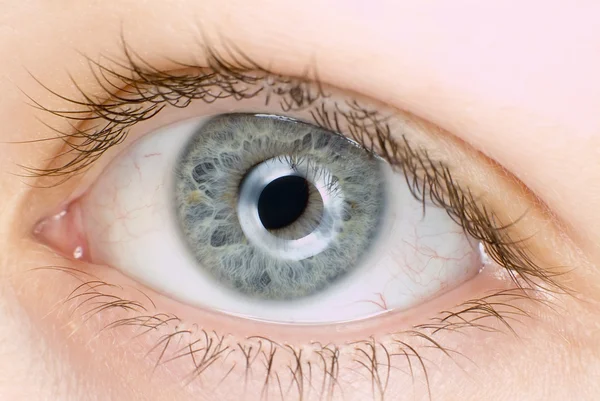 Голубые глаза в макросе — стоковое фото