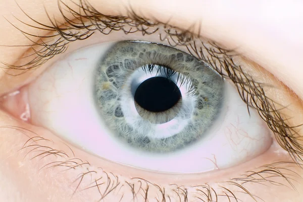 Blue eye in macro — Stock Photo, Image