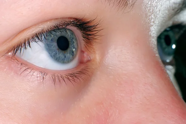 Olho azul na macro — Fotografia de Stock