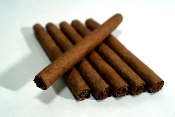 Heap of cigars — Stock Photo, Image