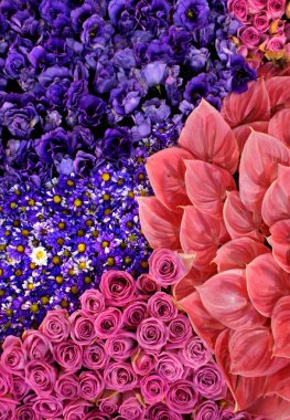 Flowering carpet. clipart