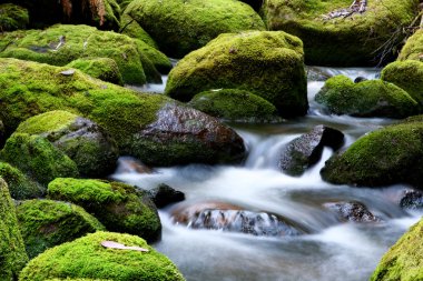 Mossy River Rocks clipart