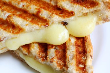 Closeup of Grilled Cheese Sandwich clipart