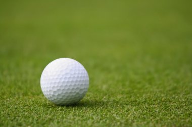 Yeşil üzerine golf topu