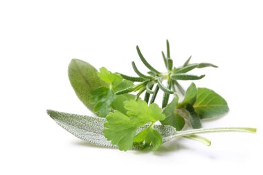 Fresh Herbs clipart