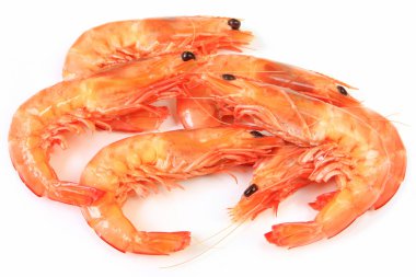 King Prawns clipart