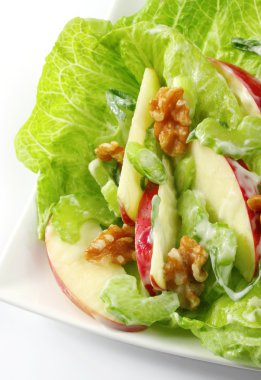 Waldorf Salad clipart