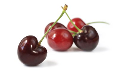 Cherries clipart