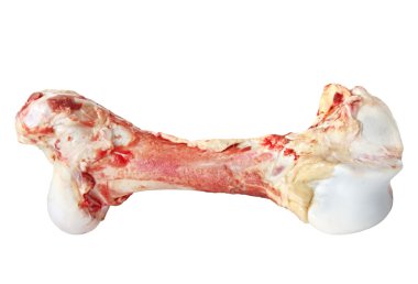 Dog Bone clipart