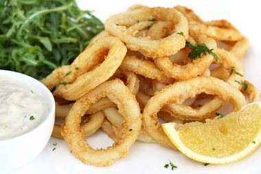 Calamari clipart