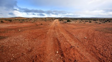 Outback Panorama clipart