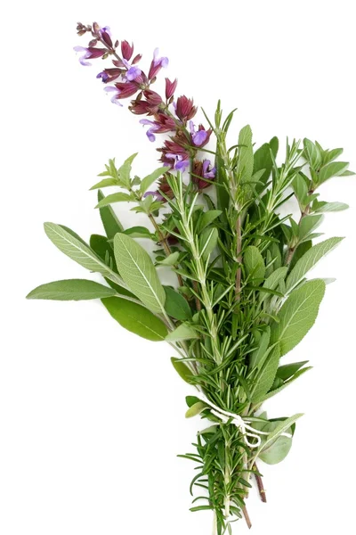 Ervas frescas - Rosemary, Sábio, Orégano — Fotografia de Stock