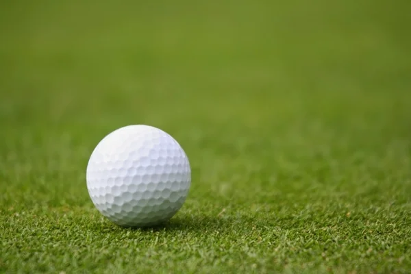 Golf labda a zöld — Stock Fotó