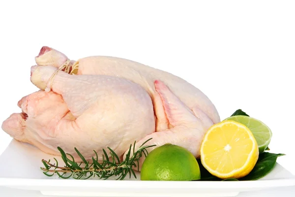 Kuře připravené k pečení — Stock fotografie