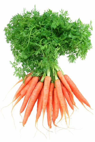 Морквою — стокове фото