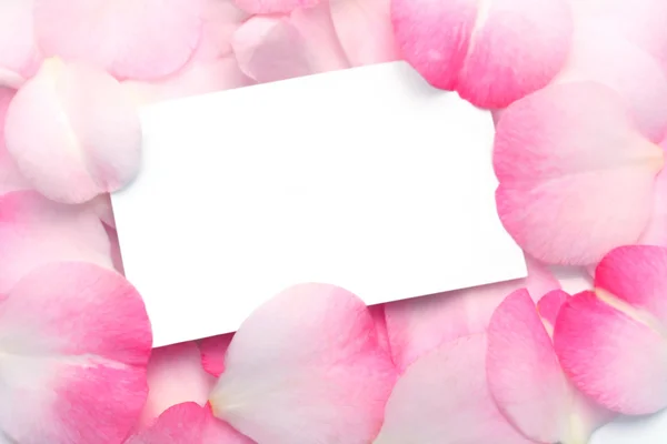 Gift card en roze bloemblaadjes — Stockfoto