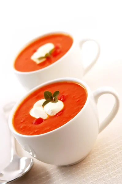 Pomidor i zioło zupa — Zdjęcie stockowe