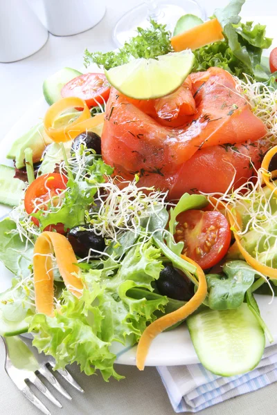 Füme somon salata — Stok fotoğraf