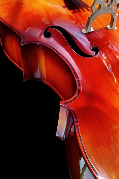 Detalhe violoncelo — Fotografia de Stock
