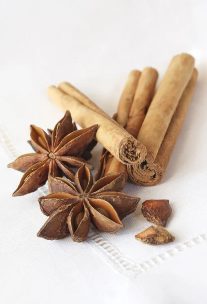 Star Anise and Cinnamon — Stock Photo, Image