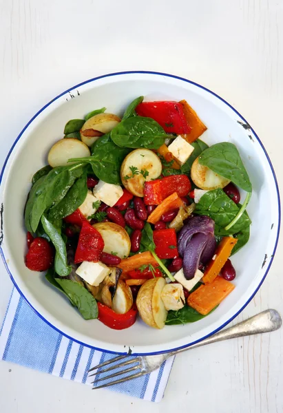 Sebze ve fasulye salatası — Stockfoto