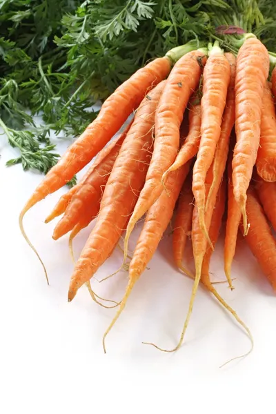 Bunch of Baby Carrots — Stock Photo, Image