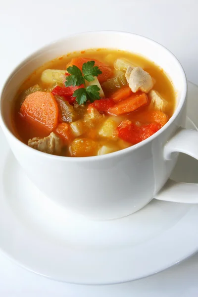 鶏と野菜のスープ — ストック写真