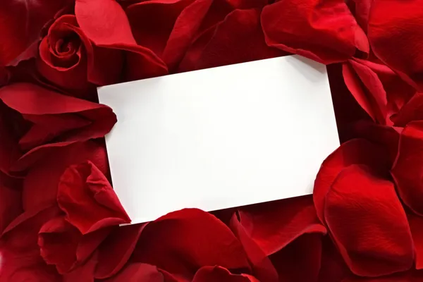 Geschenkkarte auf roten Rosenblättern — Stockfoto