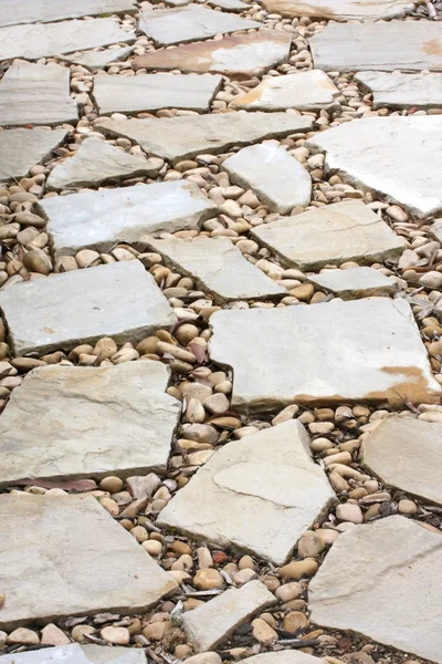 stock image Cobblestone Pathway