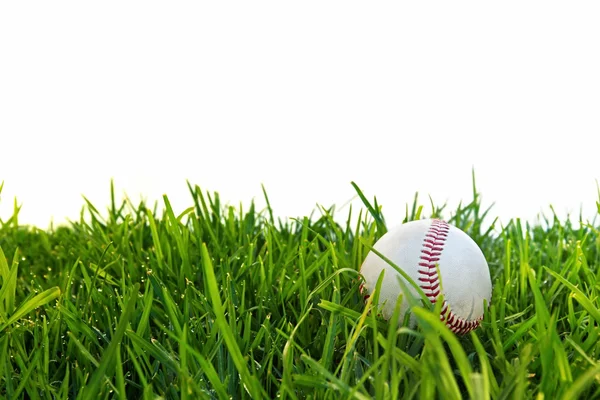 棒球在露水的草 — 图库照片