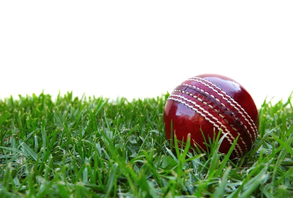 Bola de críquete — Fotografia de Stock