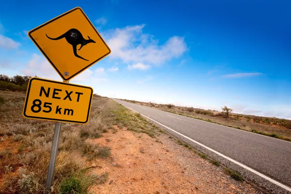 Знак Outback кенгуру — стокове фото