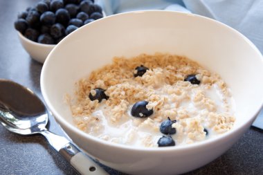 Porridge with Blueberries clipart