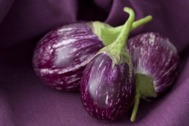 Thai Eggplant clipart