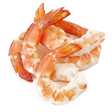 Shrimp clipart