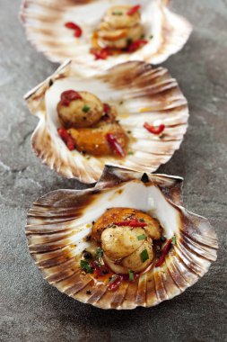 Scallops clipart