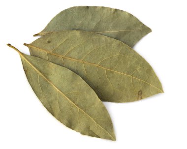 Dried Bay leaves clipart