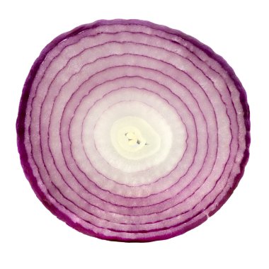 Red Onion Slice clipart