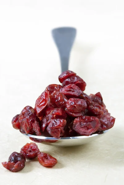 Kaşığı kurutulmuş cranberries — Stok fotoğraf
