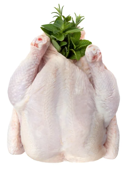 Rohes Huhn mit Kräutern — Stockfoto
