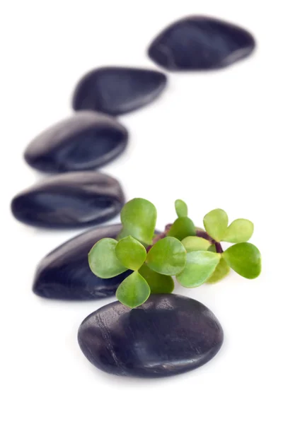 Massage Stones with Jade — Stock Photo, Image