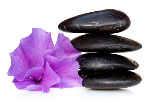 Massage Stones with Hibiscus Flower — Stock Photo, Image