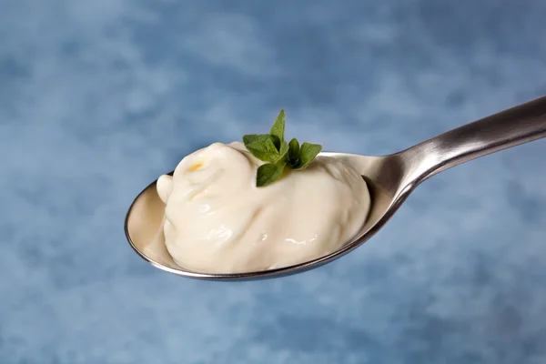 Spoonful of Herbed Mayonnaise — Stock Photo, Image