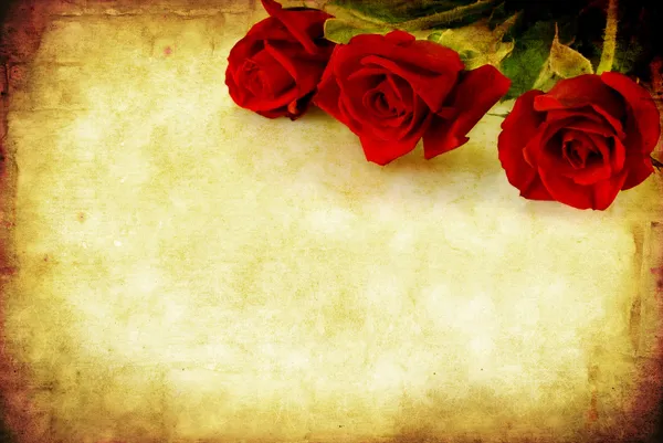グランジ赤いバラ — ストック写真