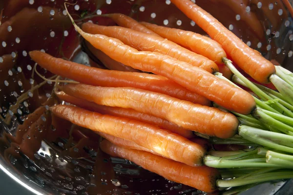 Пральна морква — стокове фото