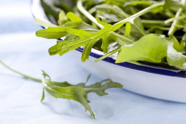 Salad Leaves — Stock Photo, Image