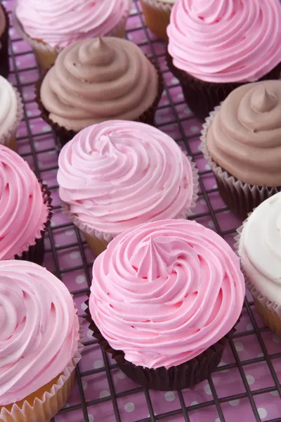 Cupcakes na cremalheira — Fotografia de Stock