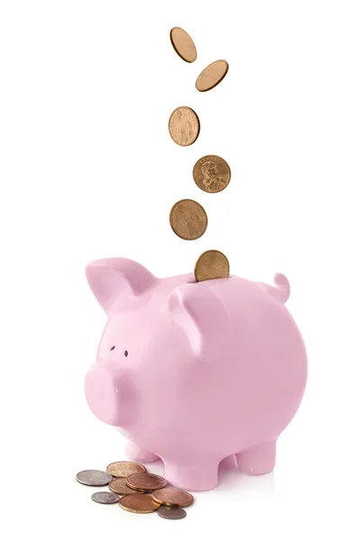 Свинья-банк с падающими монетами — стоковое фото