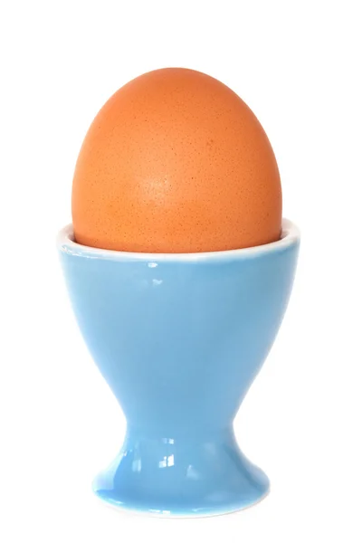 Huevo marrón en taza de huevo — Foto de Stock
