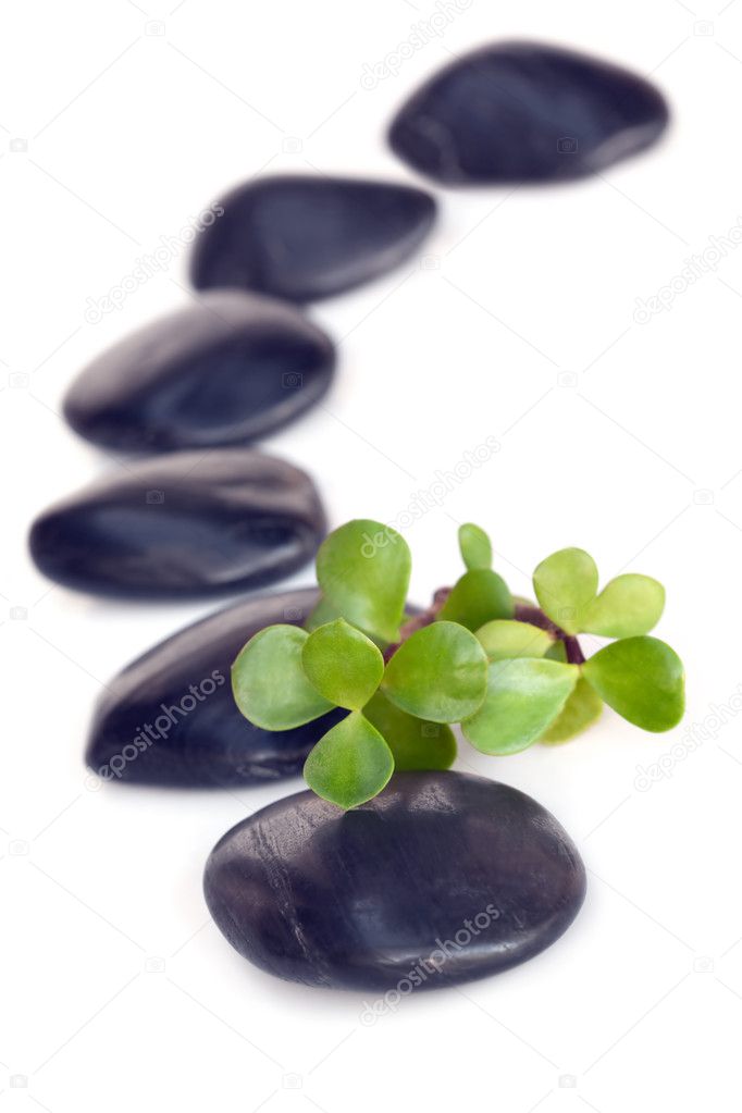 Massage Stones with Jade
